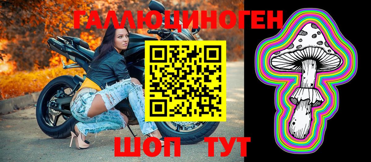 Псилоцибиновые грибы мицелий Каменск-Шахтинский