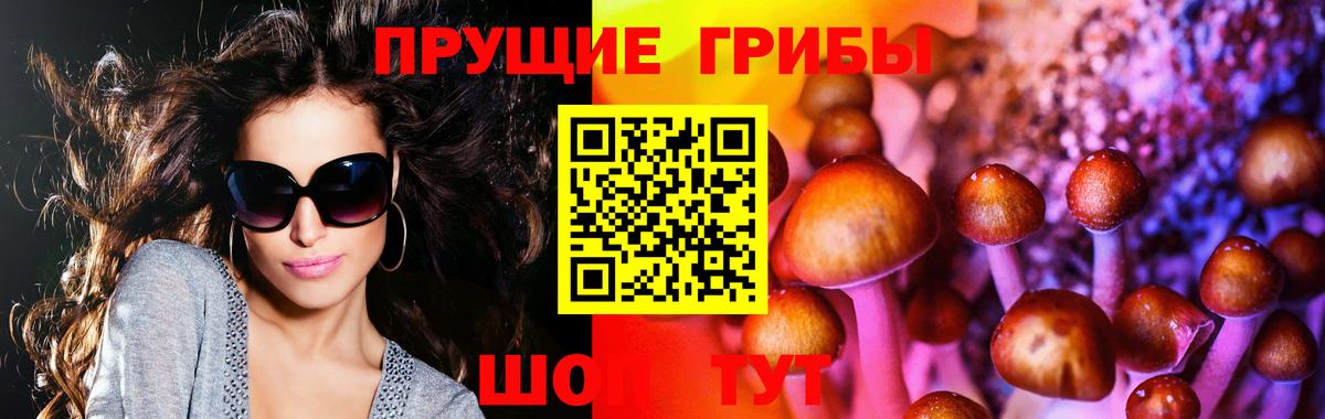 Галлюциногенные грибы Psilocybine cubensis  Вход с VPN  Каменск-Шахтинский 